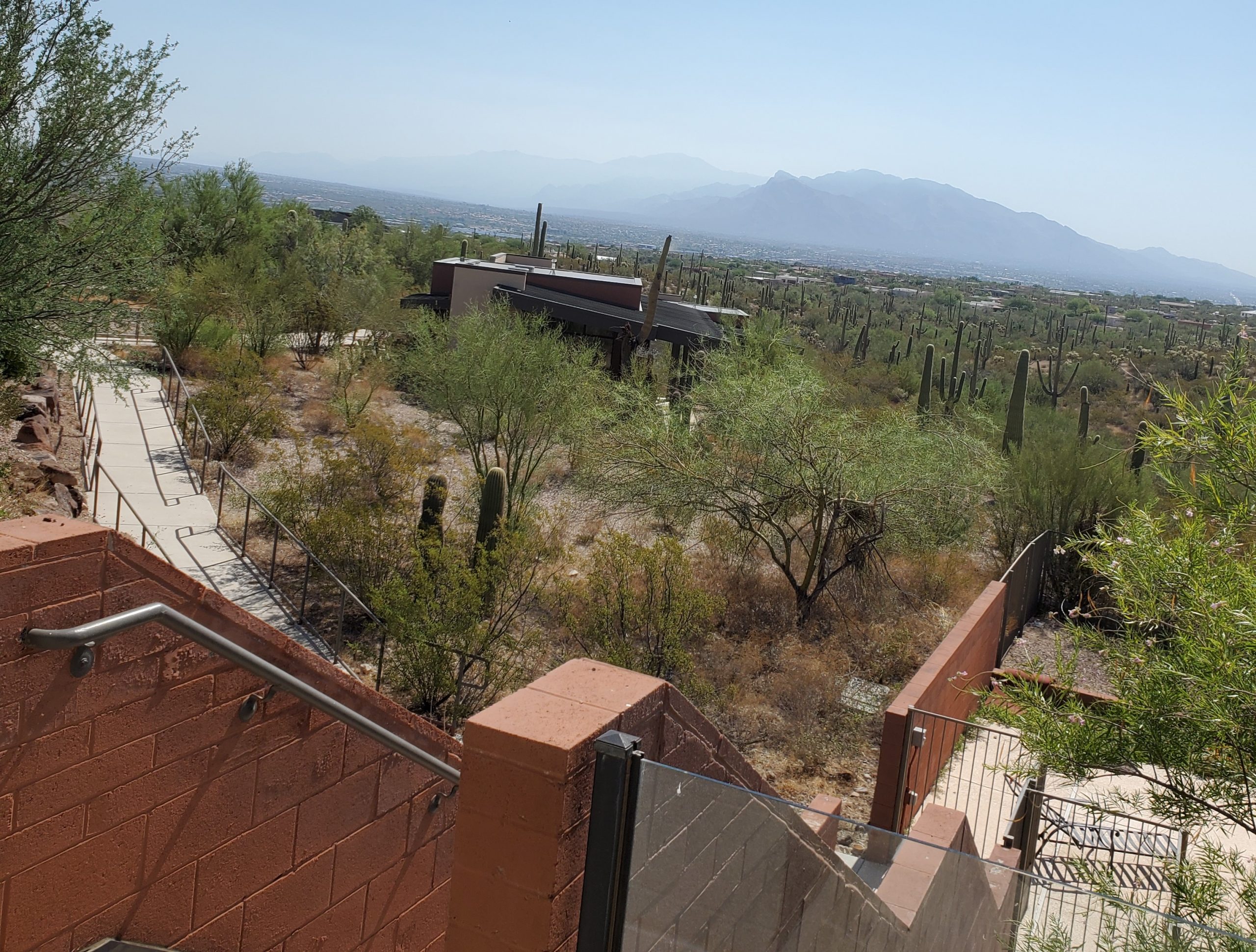 From the Balcony